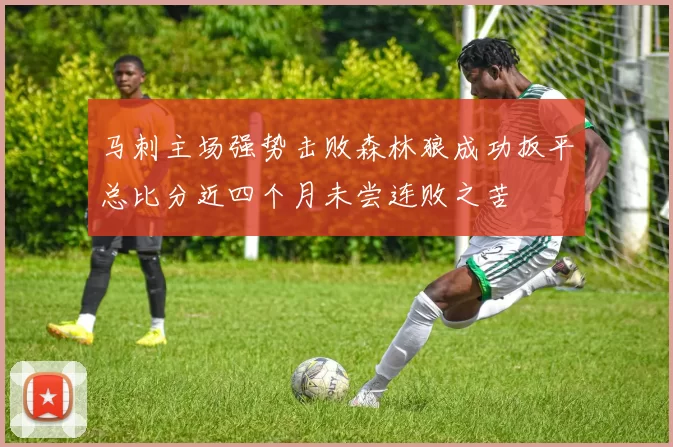 马刺主场强势击败森林狼成功扳平总比分近四个月未尝连败之苦