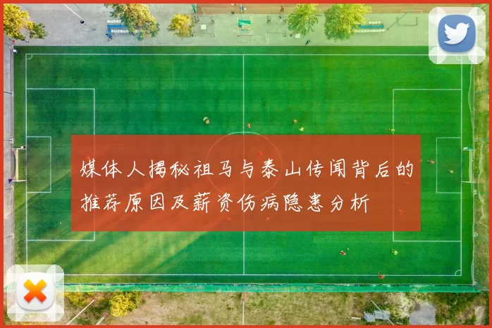 媒体人揭秘祖马与泰山传闻背后的推荐原因及薪资伤病隐患分析